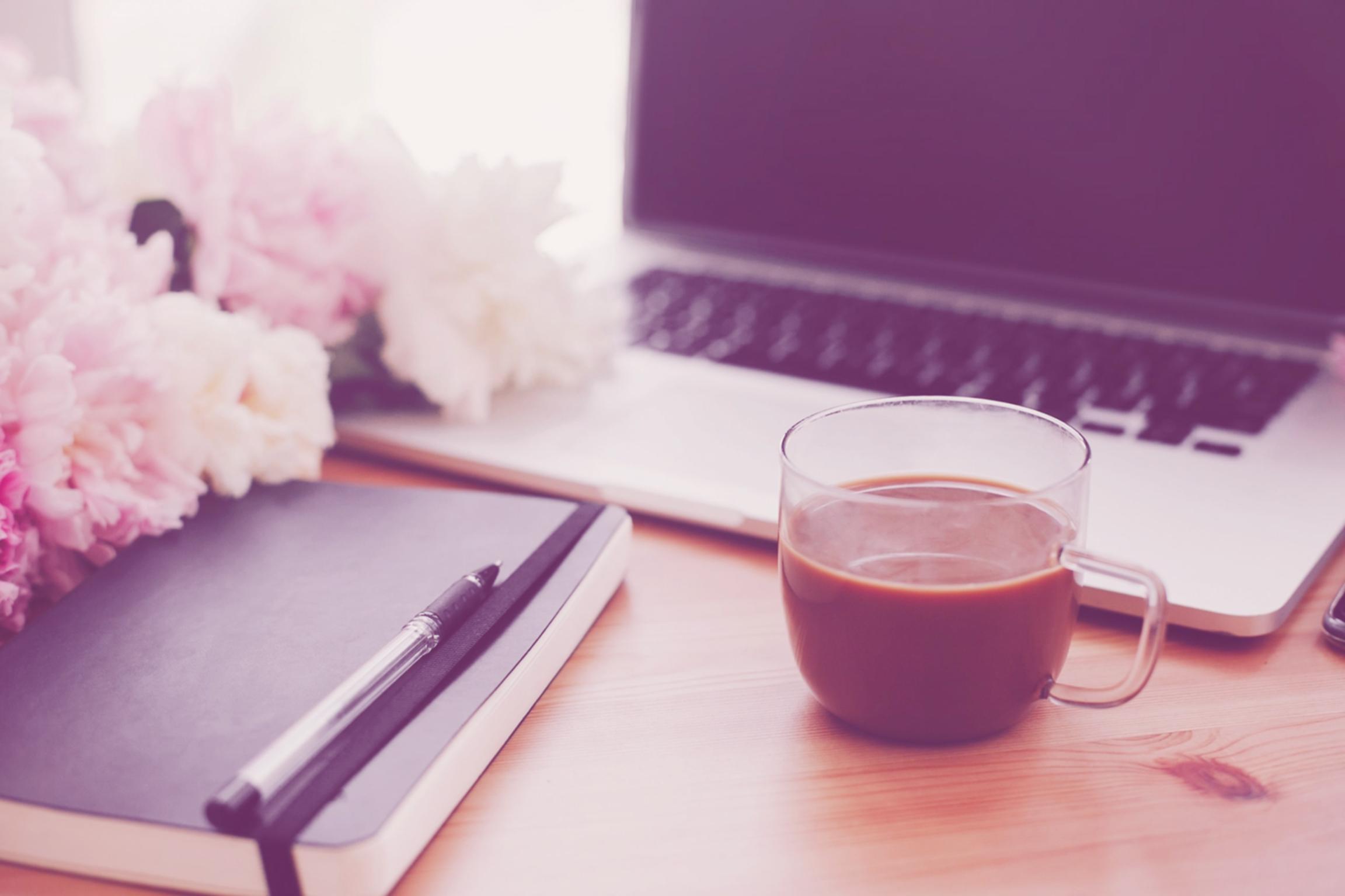 Teknik SEO eğitim programı